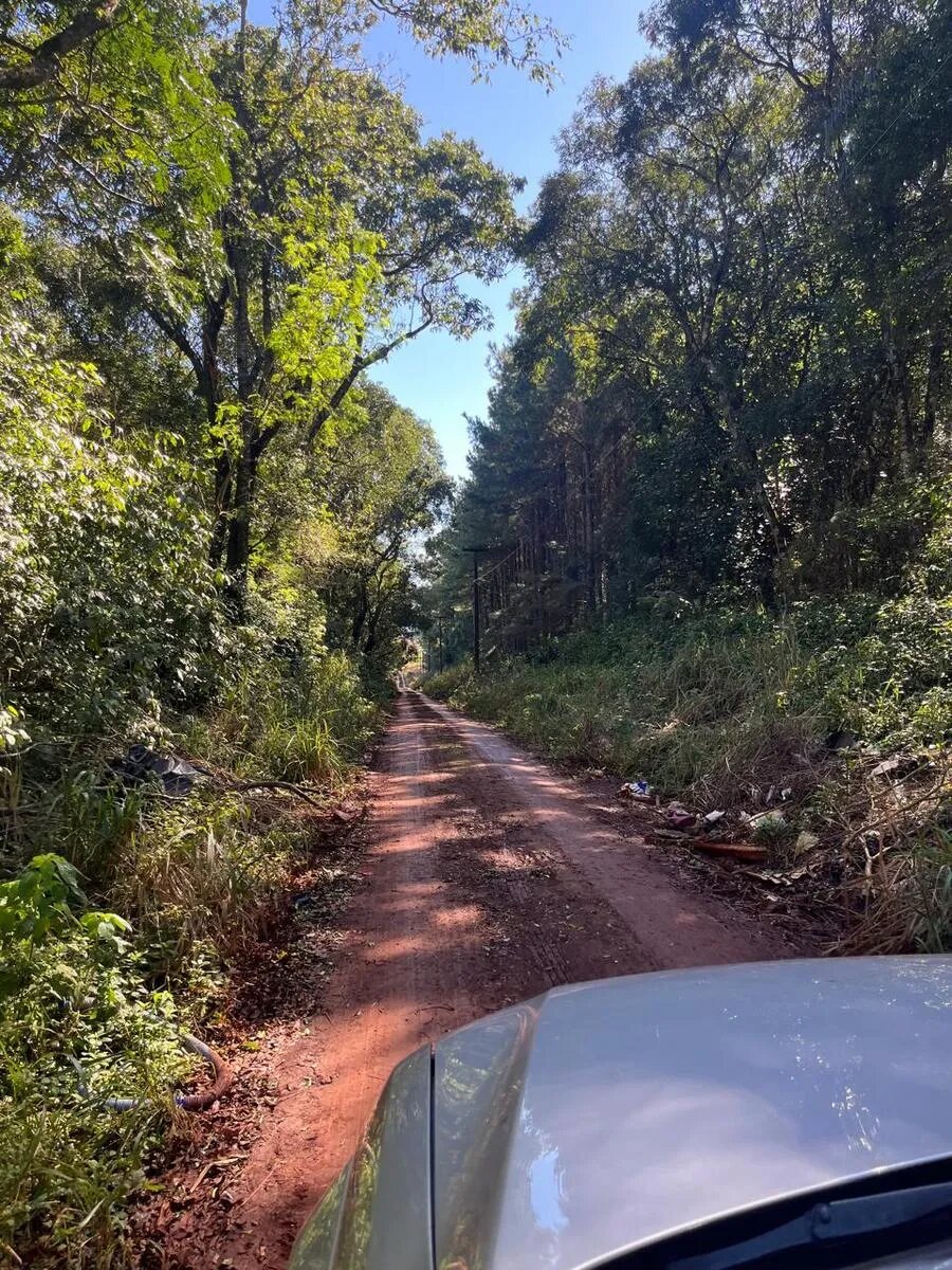 Lote De 2 Hectareas En Venta En La Ciudad De Eldorado - 4