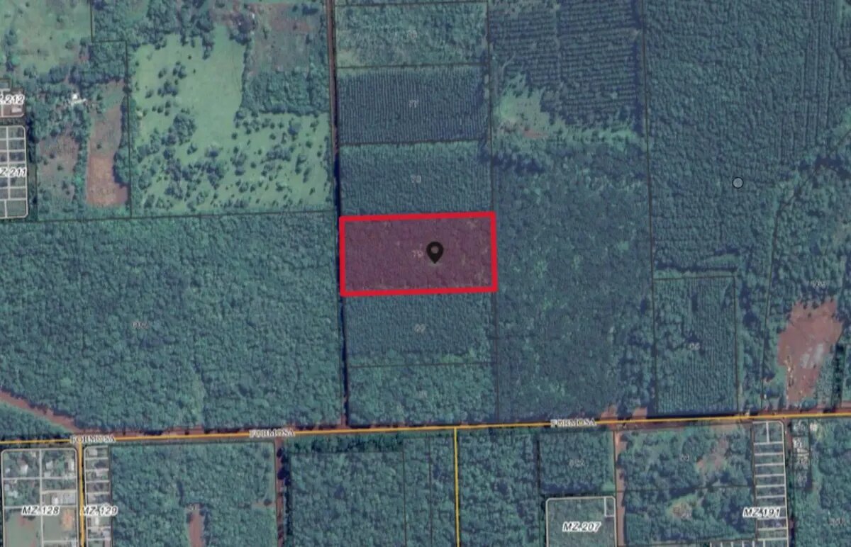 Lote De 2 Hectareas En Venta En La Ciudad De Eldorado - 7