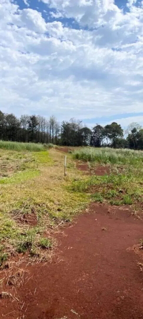 TERRENO RESIDENCIAL EN VENTA EN SAN VICENTE | PROVINCIA DE MISIONES - 5
