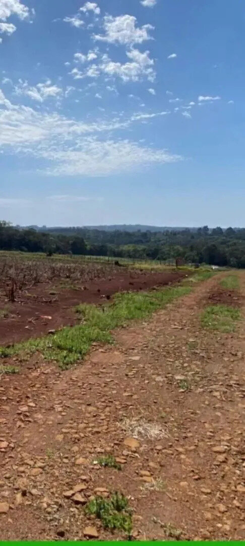 TERRENO RESIDENCIAL EN VENTA EN SAN VICENTE | PROVINCIA DE MISIONES - 4