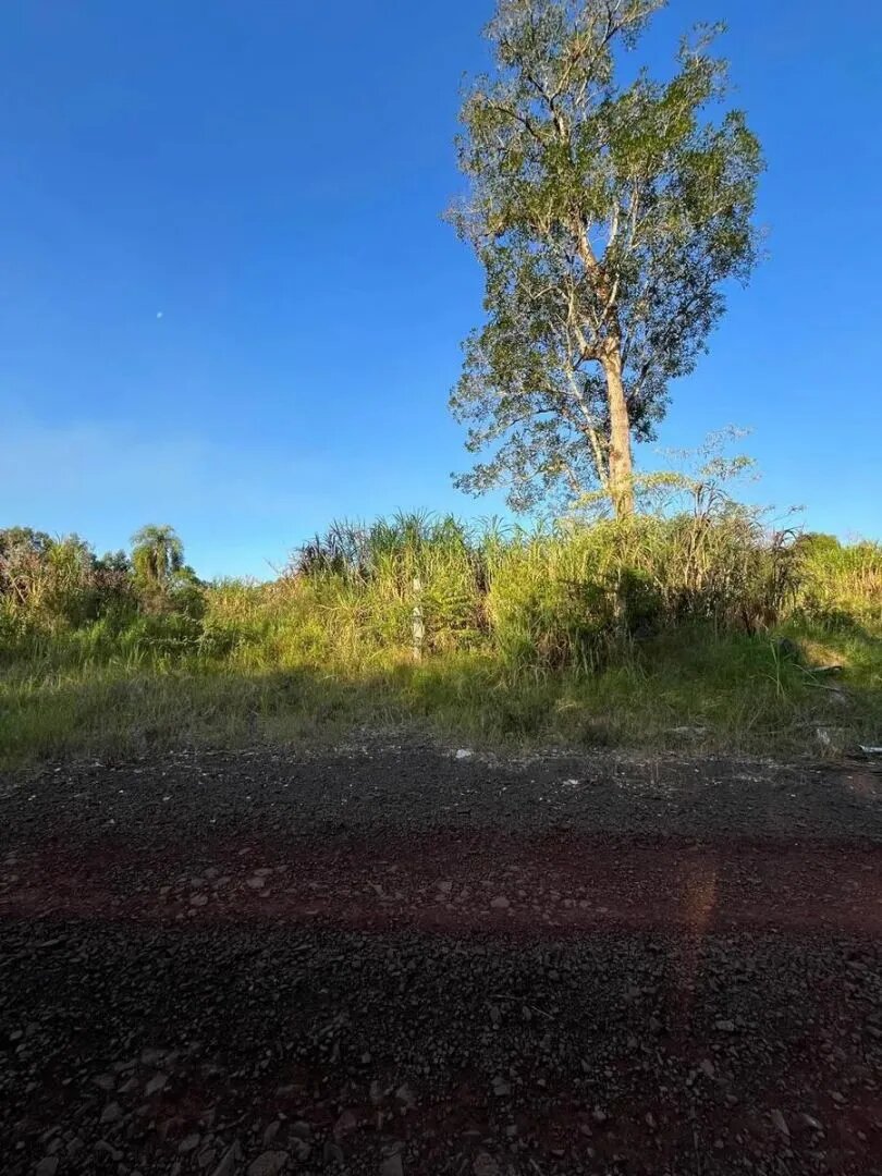 TERRENOS RESIDENCIALES CON FINANCIACIÓN EN VENTA EN EL LOTEO BERNAL KM10 | ELDORADO MISIONES - 7