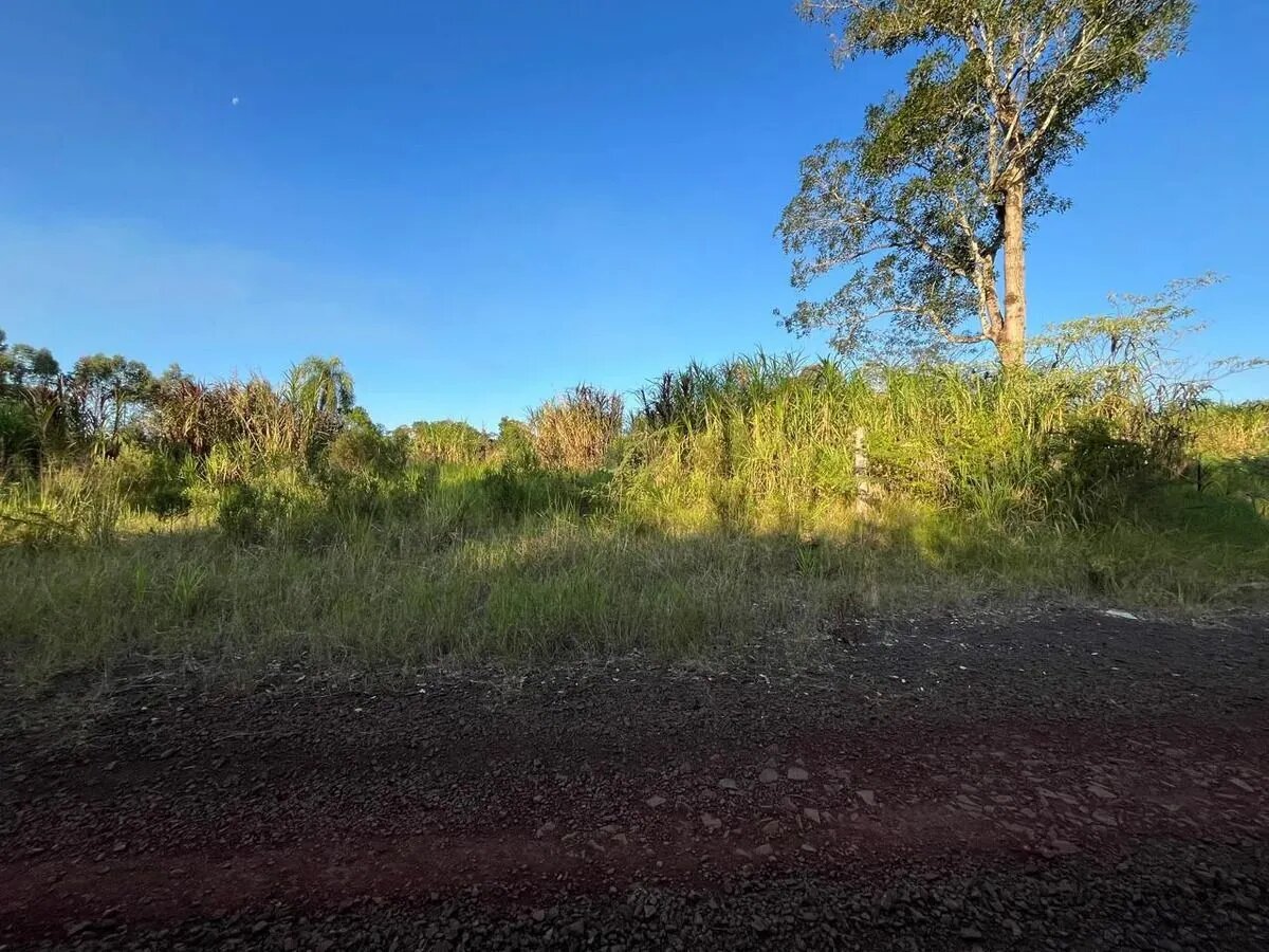 TERRENOS RESIDENCIALES CON FINANCIACIÓN EN VENTA EN EL LOTEO BERNAL KM10 | ELDORADO MISIONES - 3