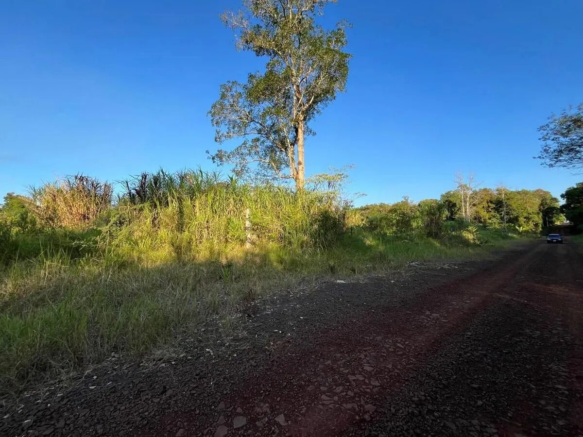 TERRENOS RESIDENCIALES CON FINANCIACIÓN EN VENTA EN EL LOTEO BERNAL KM10 | ELDORADO MISIONES - 5