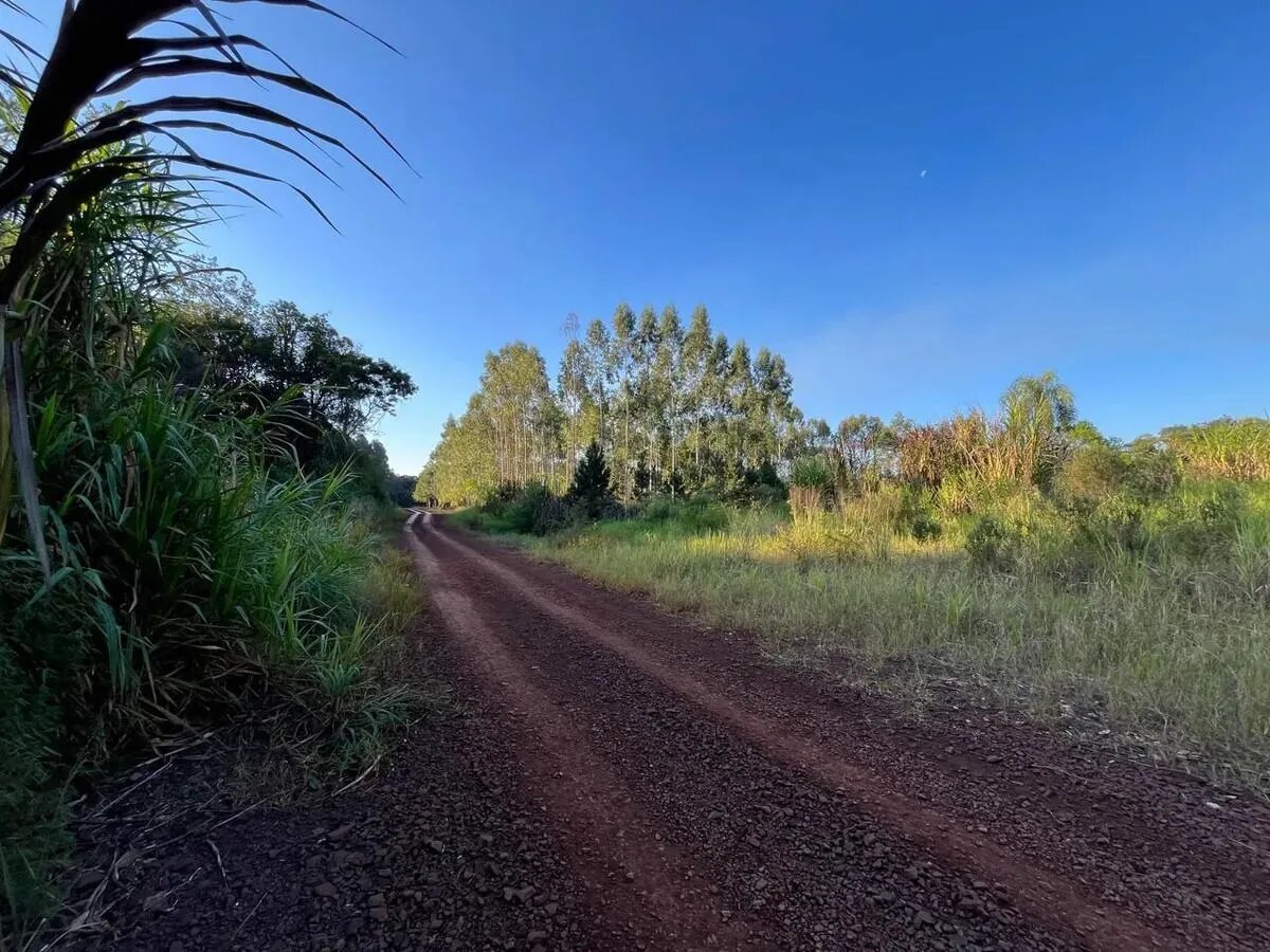 TERRENOS RESIDENCIALES CON FINANCIACIÓN EN VENTA EN EL LOTEO BERNAL KM10 | ELDORADO MISIONES - 2