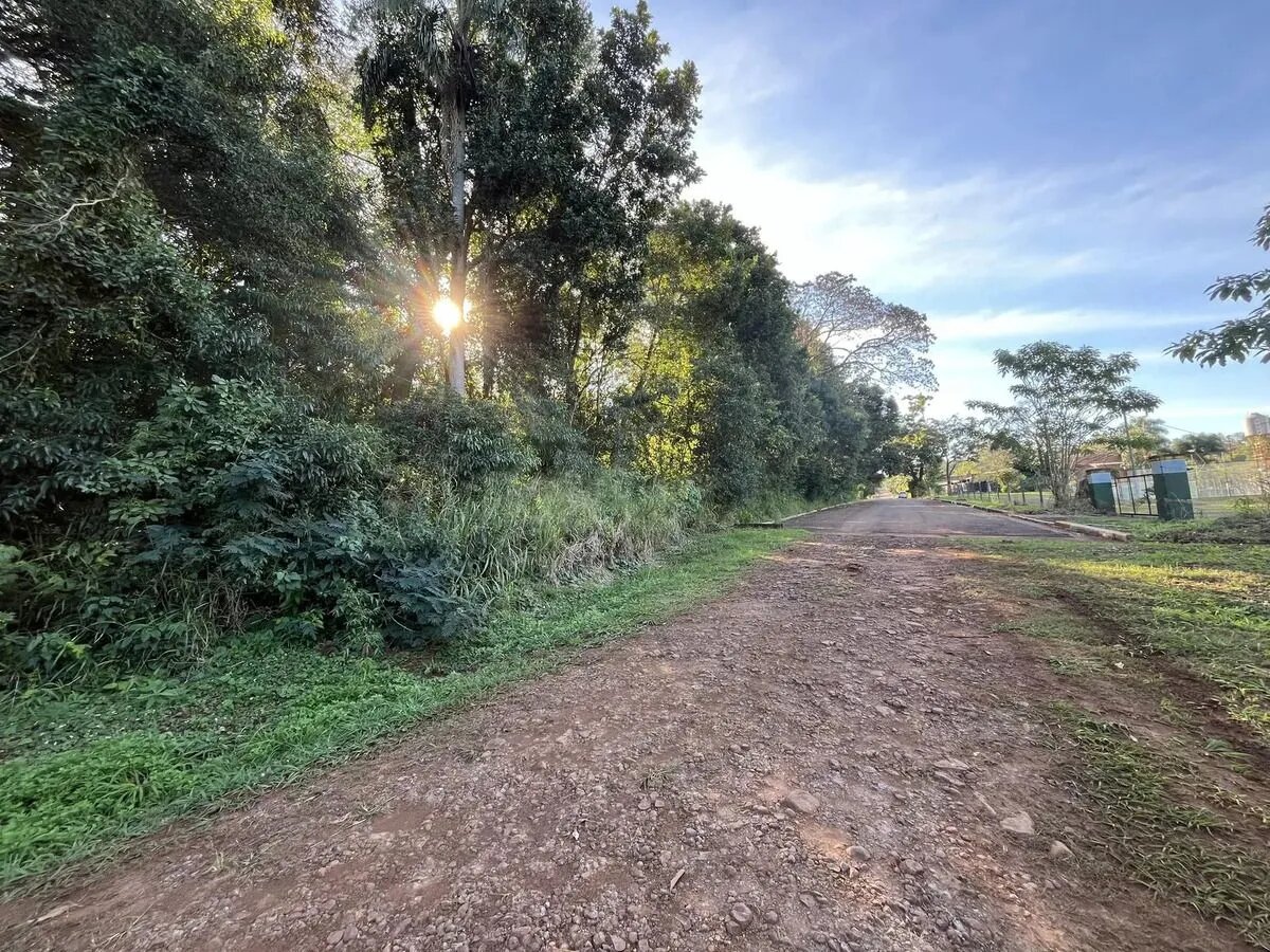 Loteo terrenos en venta - 4