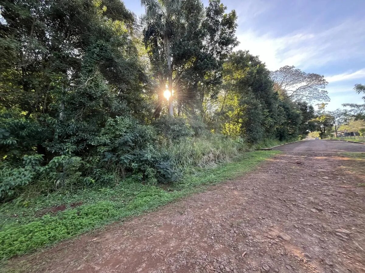 Loteo terrenos en venta - 5