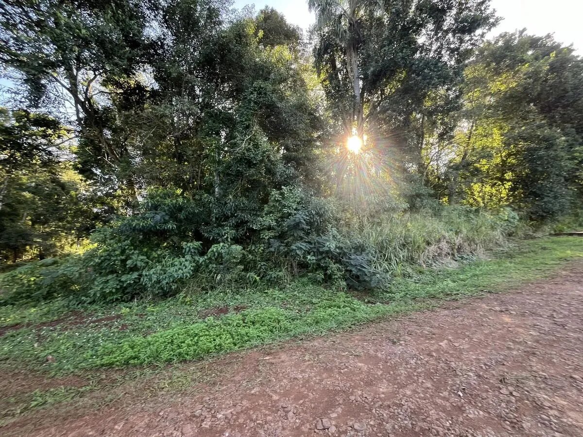 Loteo terrenos en venta - 6