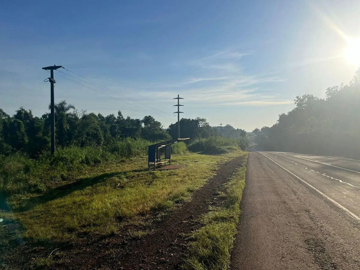 PROPIEDAD FORESTAL DE 8,6 HECTAREAS EN VENTA SOBRE LA RUTA NACIONAL 12 | MONTECARLO MISIONES - 1