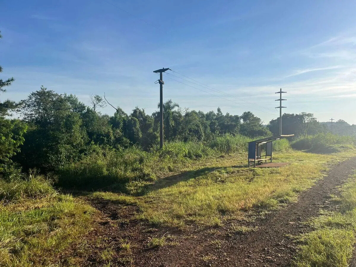 PROPIEDAD FORESTAL DE 8,6 HECTAREAS EN VENTA SOBRE LA RUTA NACIONAL 12 | MONTECARLO MISIONES - 2
