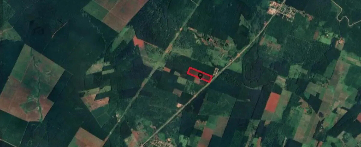 PROPIEDAD FORESTAL DE 8,6 HECTAREAS EN VENTA SOBRE LA RUTA NACIONAL 12 | MONTECARLO MISIONES - 4