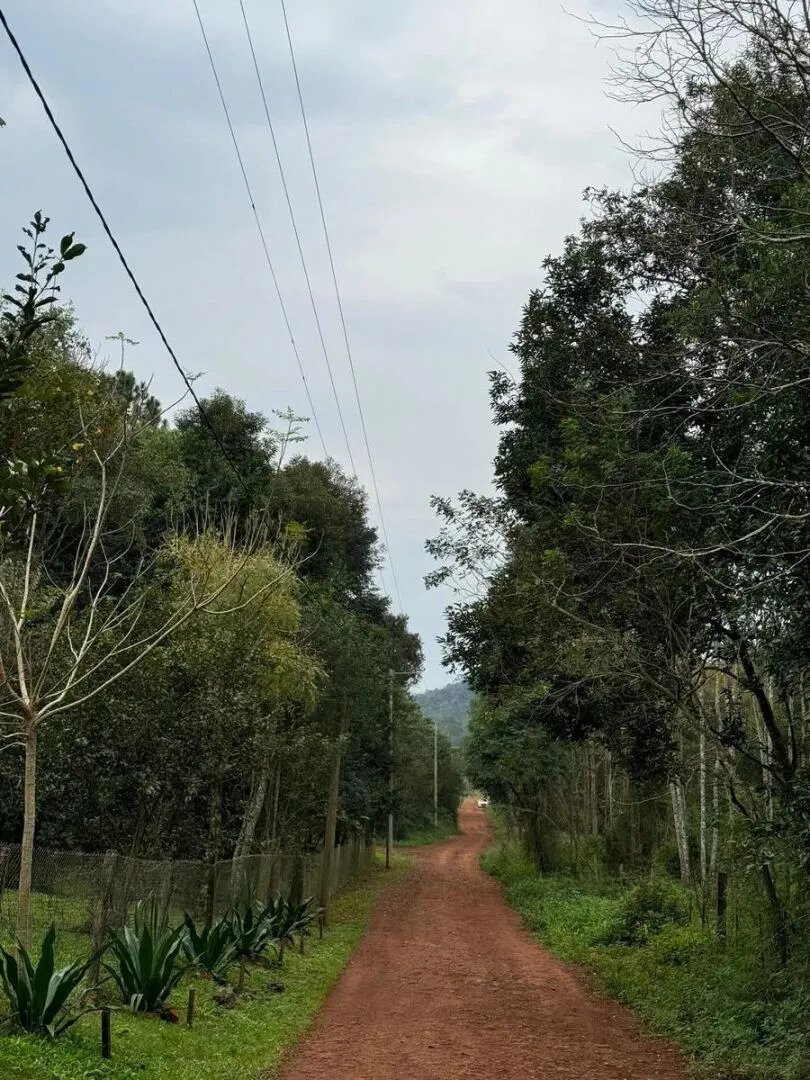 Loteo La Gisela - 25
