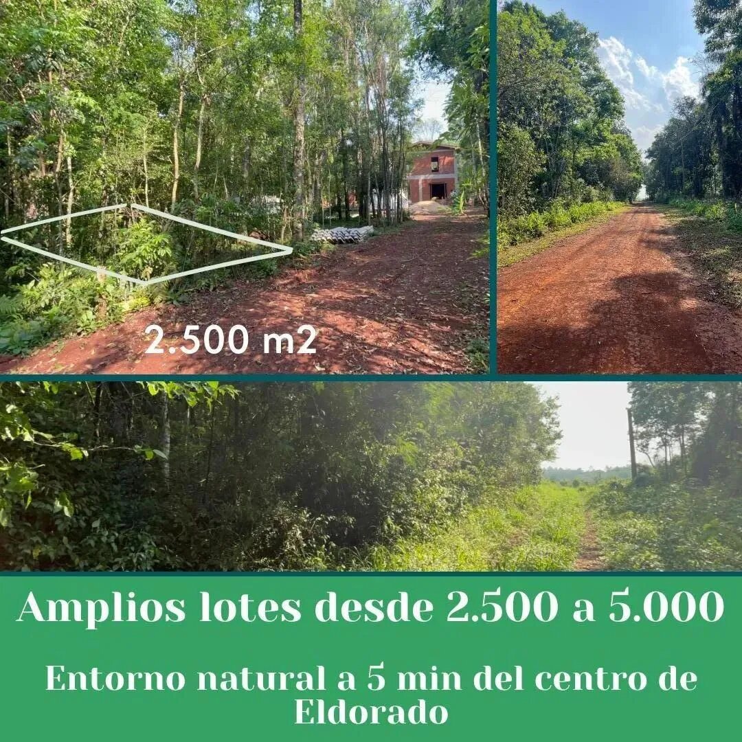 Loteo La Gisela - 2
