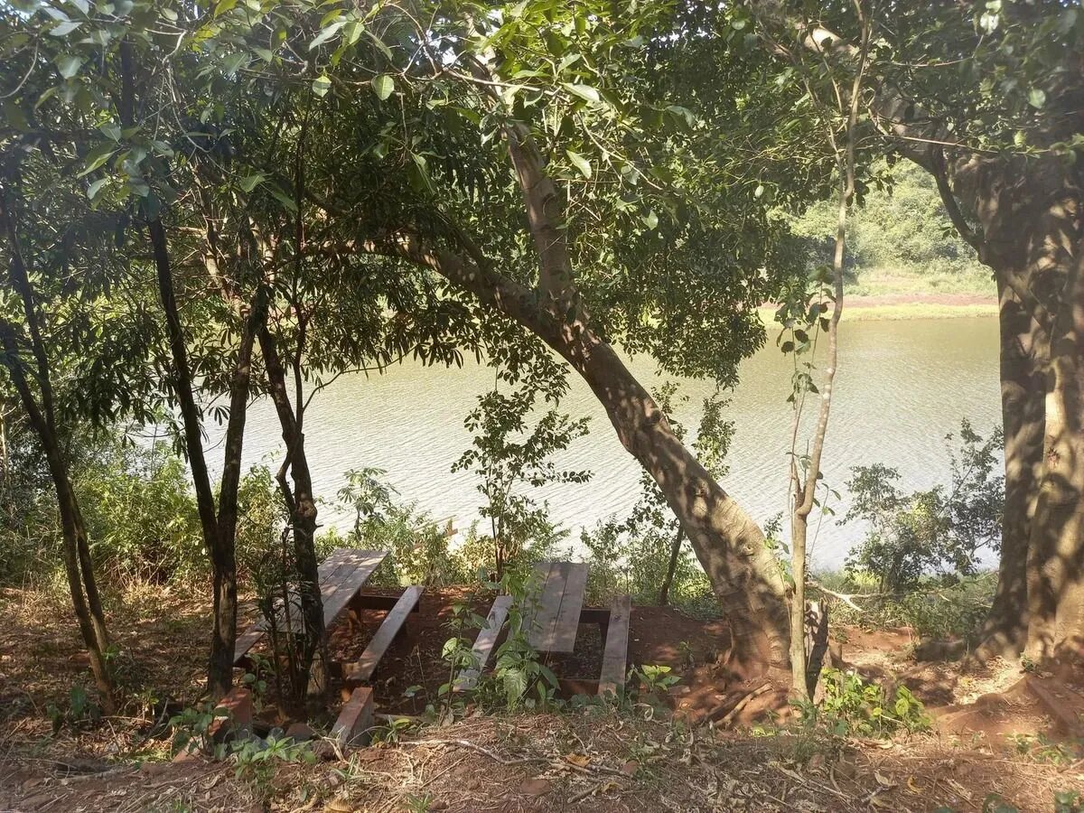 Gran Terreno Sobre El Arroyo Piray Miní - 9