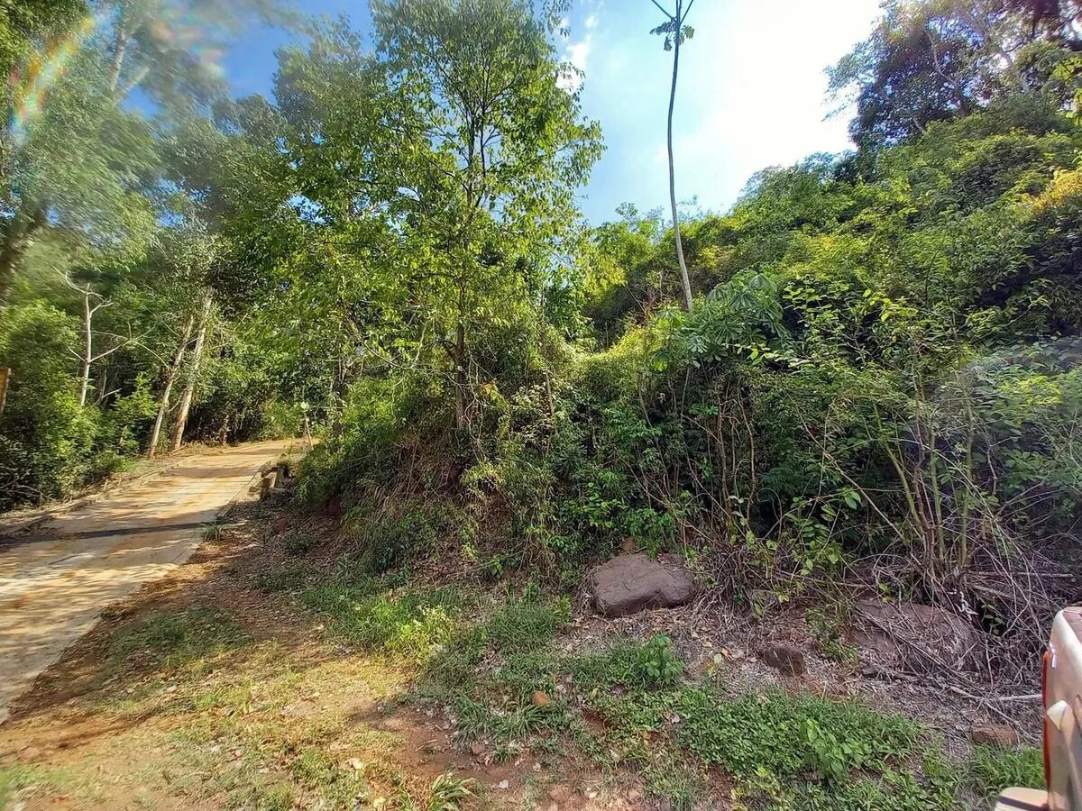 Gran Terreno Sobre El Arroyo Piray Miní - 6