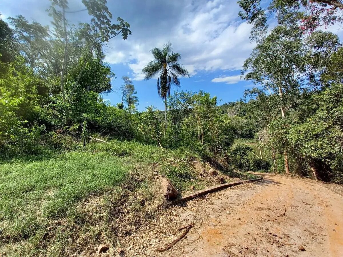 Gran Terreno Sobre El Arroyo Piray Miní - 8