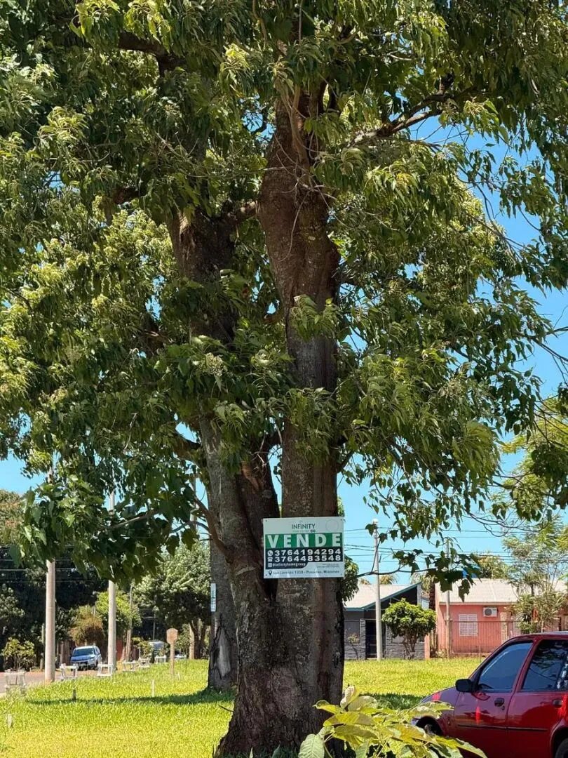 Terrenos Financiados en Itambé Miní Posadas Misiones - 10