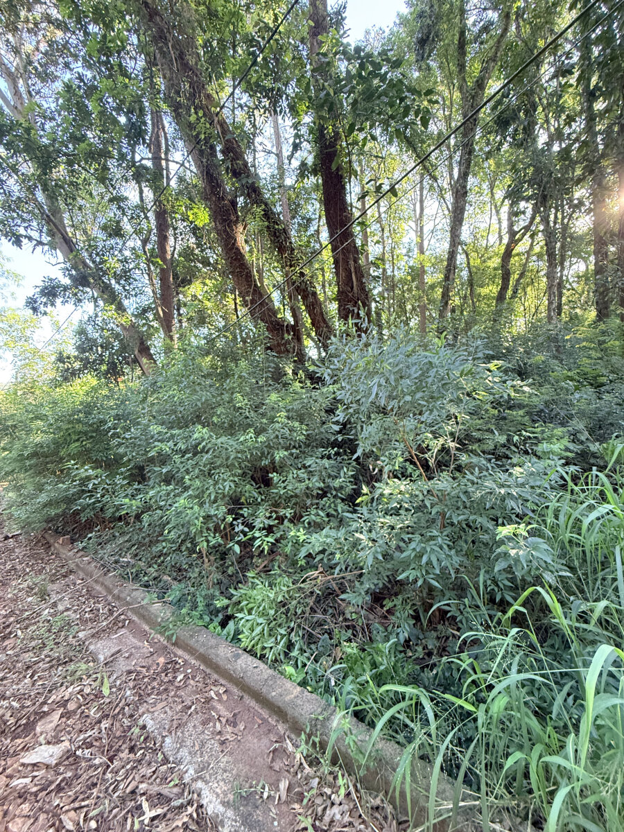 TERRENO EN VENTA EN EL KM11 DE ELDORADO ¡OPORTUNIDAD DE FINANCIAR! — foto 8