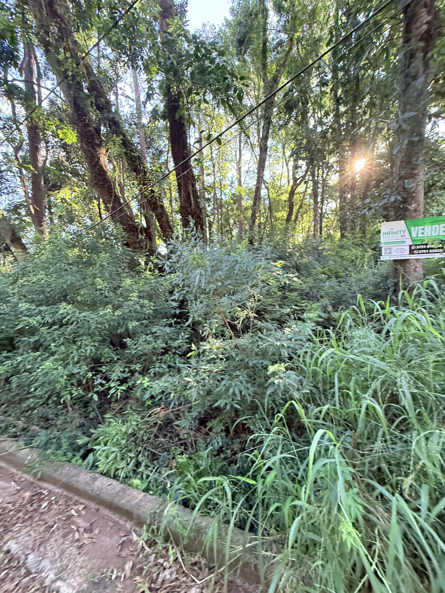 TERRENO EN VENTA EN EL KM11 DE ELDORADO ¡OPORTUNIDAD DE FINANCIAR! — foto 7