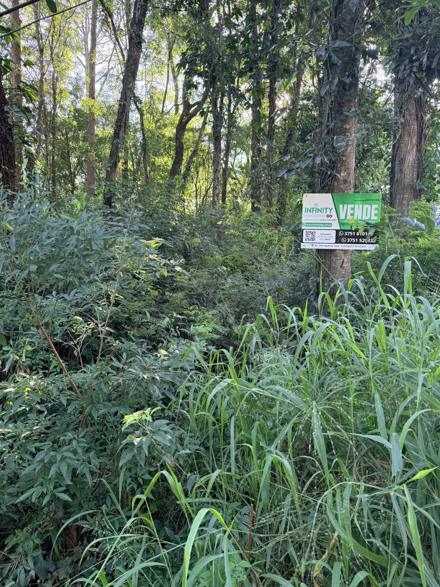 TERRENO EN VENTA EN EL KM11 DE ELDORADO ¡OPORTUNIDAD DE FINANCIAR! — foto 9