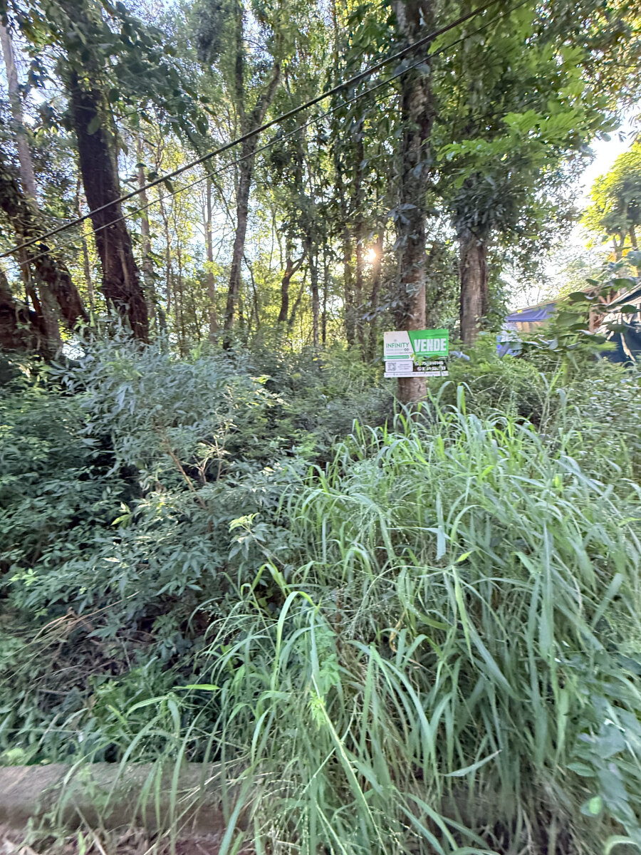 TERRENO EN VENTA EN EL KM11 DE ELDORADO ¡OPORTUNIDAD DE FINANCIAR! — foto 12