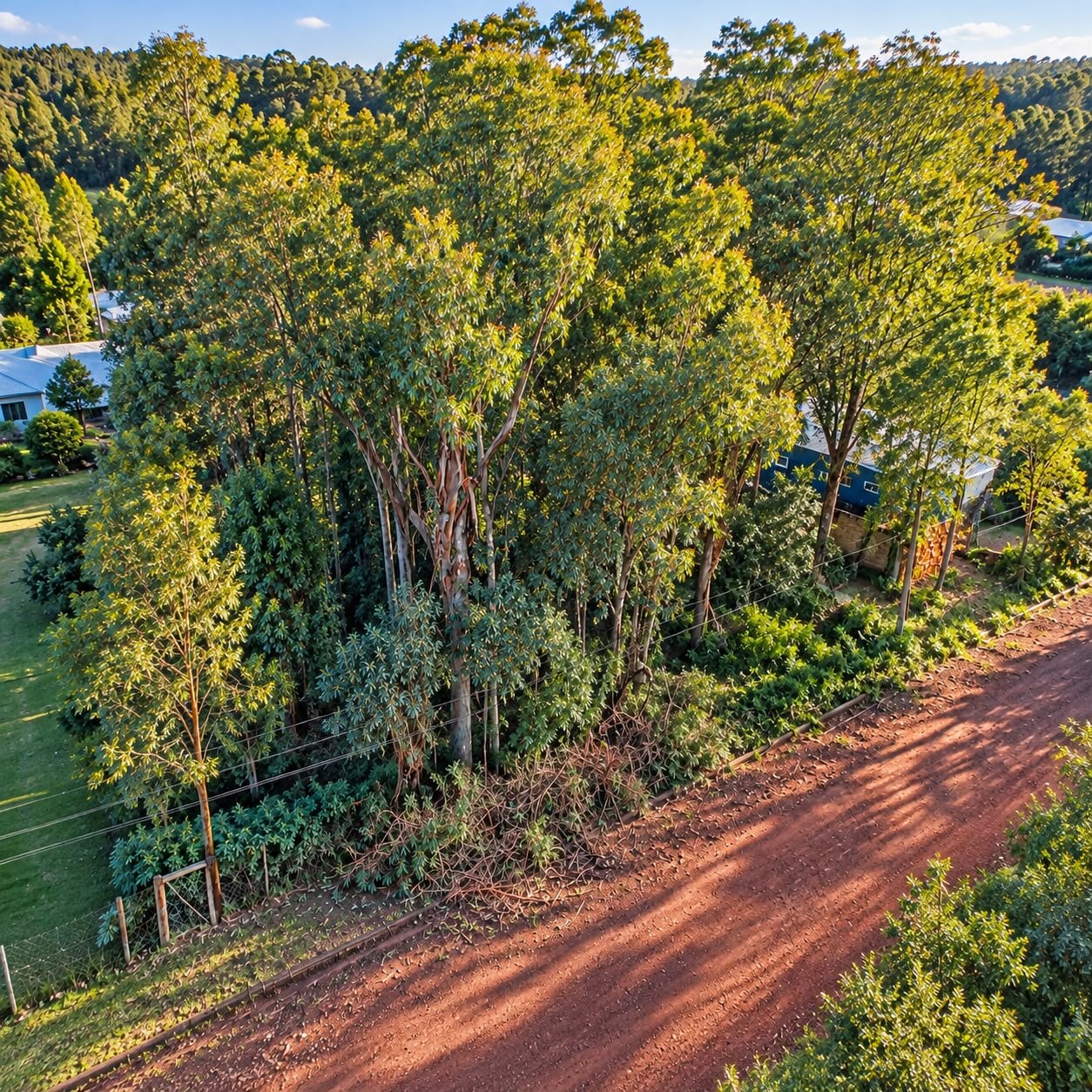 TERRENO EN VENTA EN EL KM11 DE ELDORADO ¡OPORTUNIDAD DE FINANCIAR! — foto 3