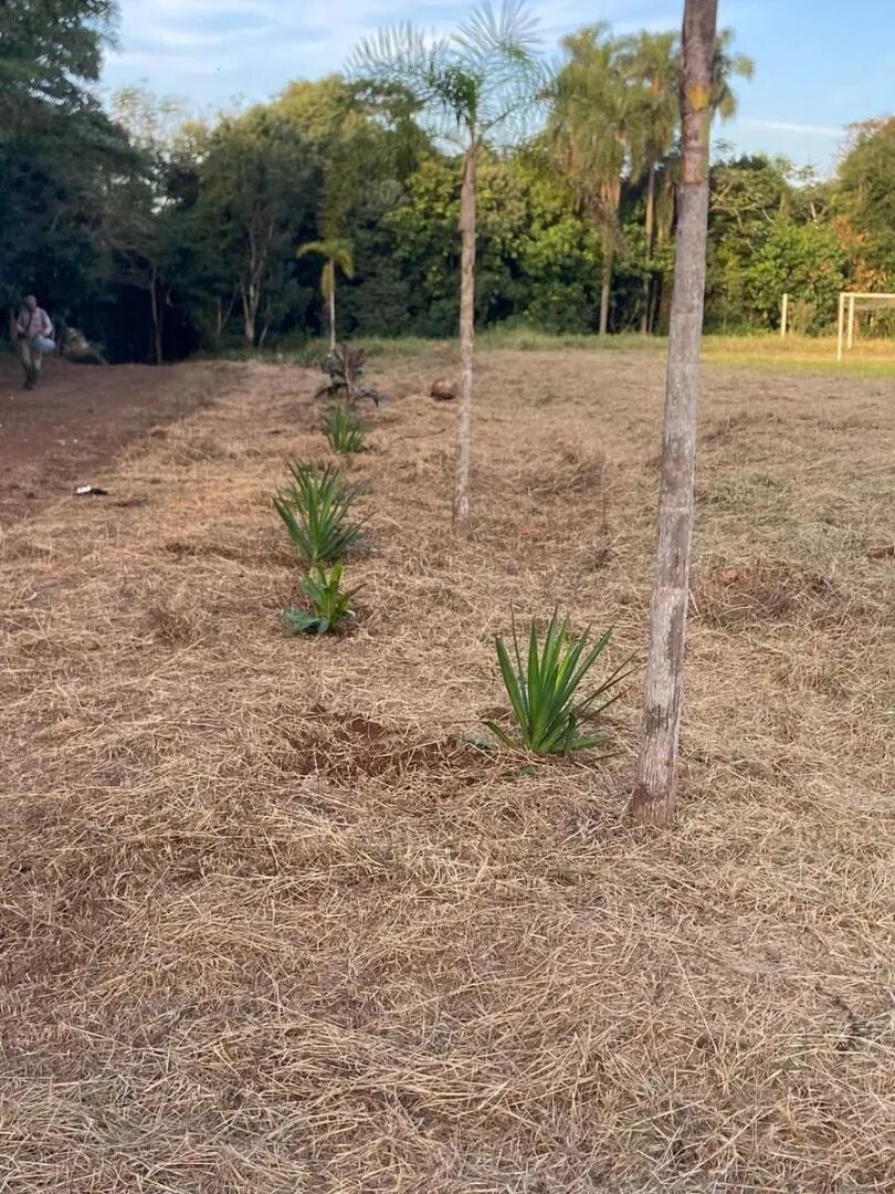 Loteo Guazu, Eldorado - Misiones - 13