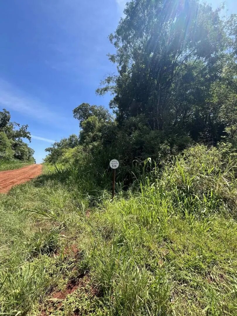 Terreno En Eldorado Misiones Sobre Avenida Hipolito Yrigoyen Y Calle Guembe - 7