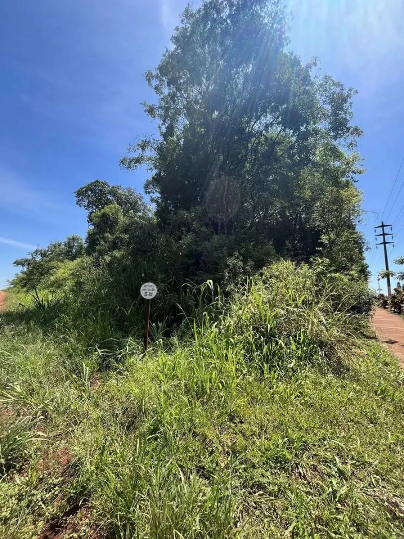 Terreno En Eldorado Misiones Sobre Avenida Hipolito Yrigoyen Y Calle Guembe - 12