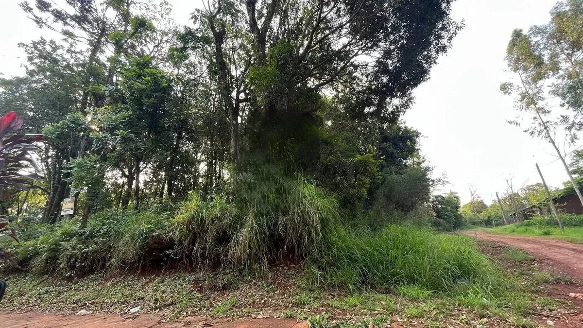 Terreno En Eldorado Misiones Sobre Avenida Hipolito Yrigoyen Y Calle Guembe - 11