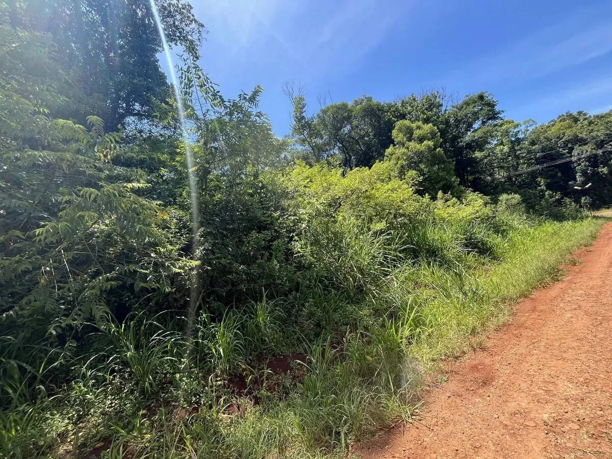 Terreno En Eldorado Misiones Sobre Avenida Hipolito Yrigoyen Y Calle Guembe - 13