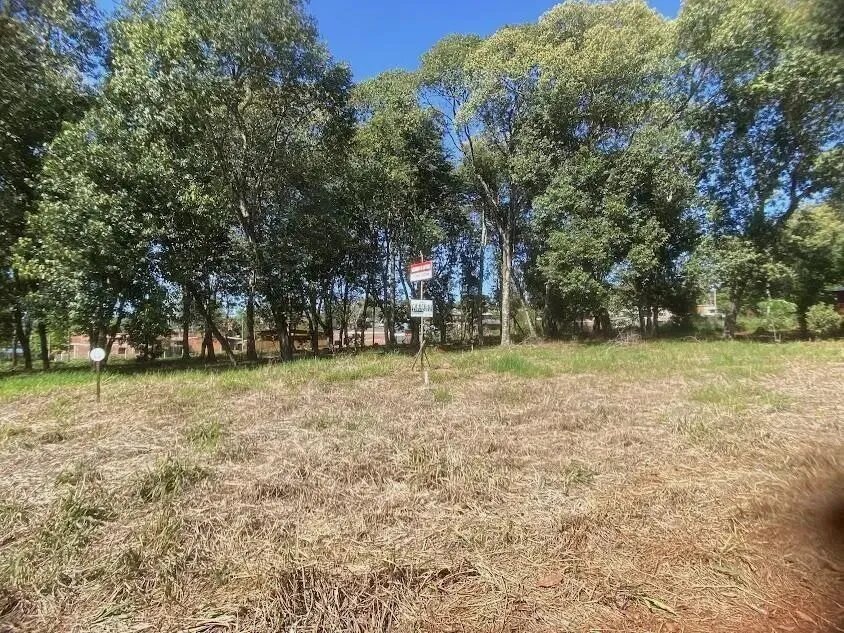 Terreno En Ezeiza, Entre Calle Ayohuma Y Calle Batalla De Cepeda, Km 11 - 3