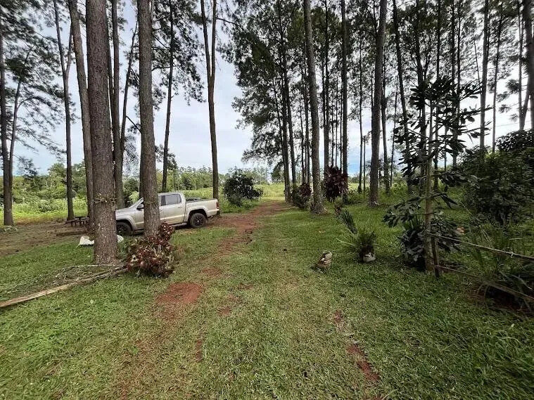 Chacra Con 15 Hectáreas En El Km24 De Eldorado Misiones - 2