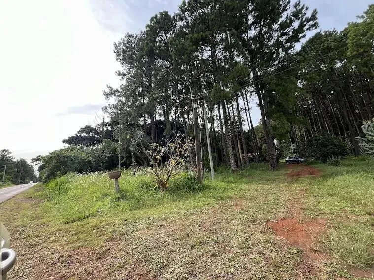 Chacra Con 15 Hectáreas En El Km24 De Eldorado Misiones - 21