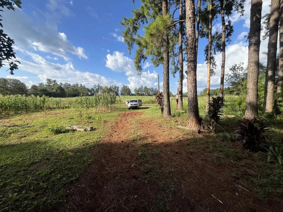 Chacra Con 15 Hectáreas En El Km24 De Eldorado Misiones - 12