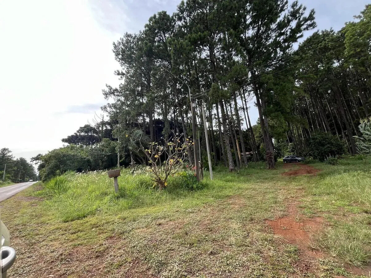 Chacra Con 15 Hectáreas En El Km24 De Eldorado Misiones - 3