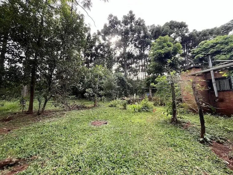 Chacra Con 15 Hectáreas En El Km24 De Eldorado Misiones - 5