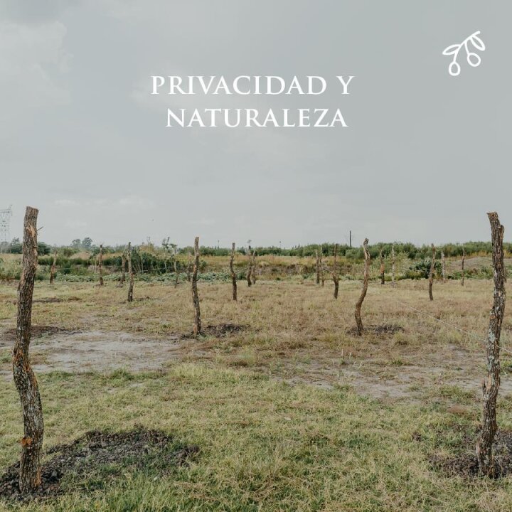 Terrenos - Funes - Venta
