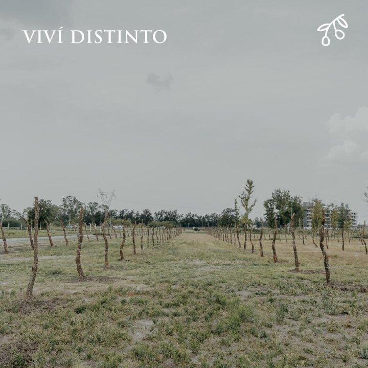 Terrenos - Funes - Venta