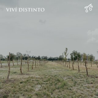 Terrenos - Funes - Venta