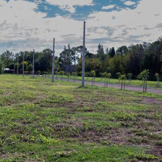 Terrenos - Rosario - Venta
