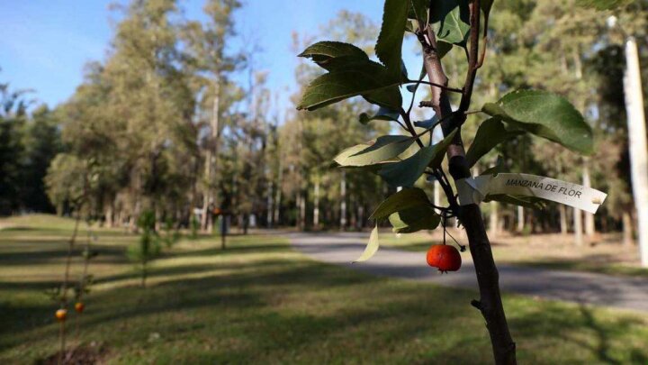 Terrenos - Rosario - Venta