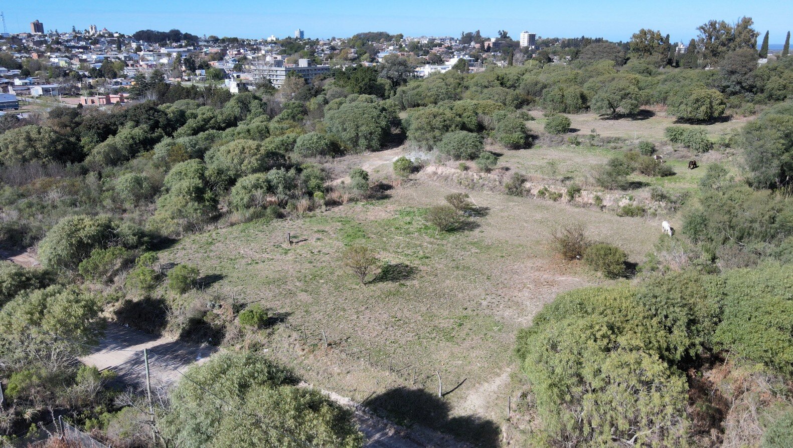 Lote 2 - 2 lotes con gran superficie, ideales para desarrollo o residencia - Lopez Jordan a metros de Boulevard Eva Peron - 3