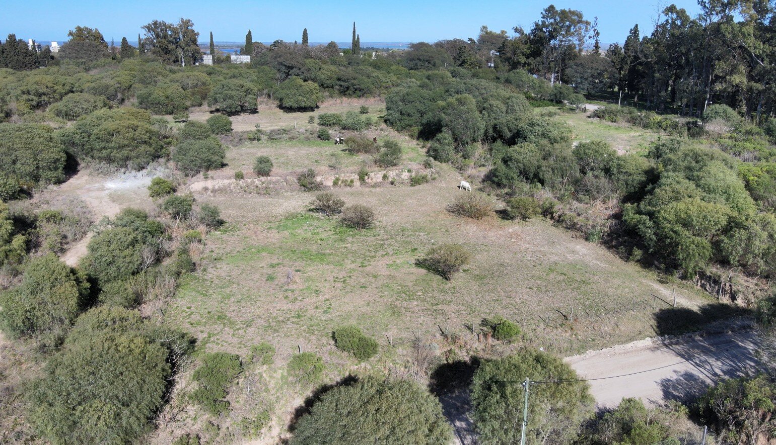 Lote 2 - 2 lotes con gran superficie, ideales para desarrollo o residencia - Lopez Jordan a metros de Boulevard Eva Peron - 5