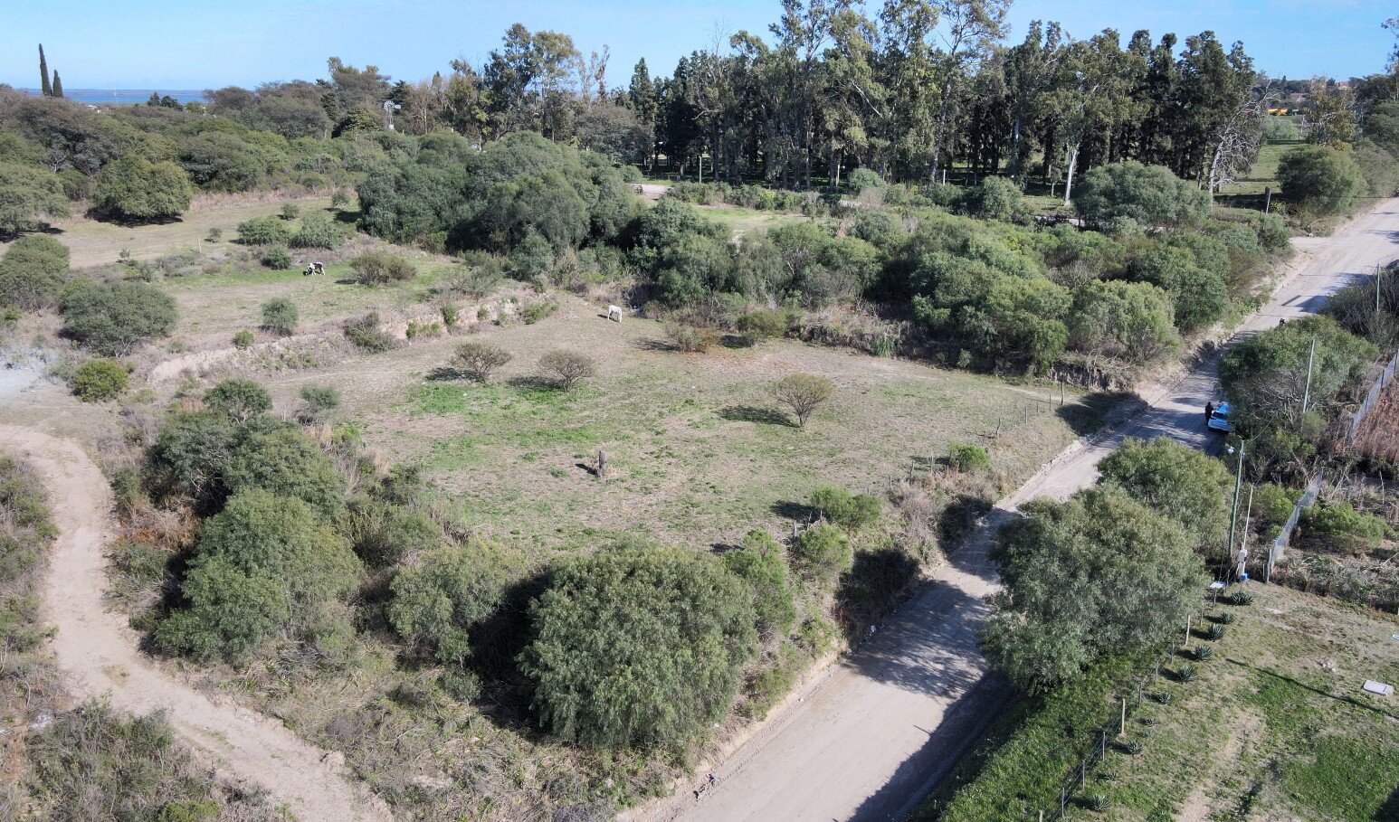 Lote 2 - 2 lotes con gran superficie, ideales para desarrollo o residencia - Lopez Jordan a metros de Boulevard Eva Peron - 1