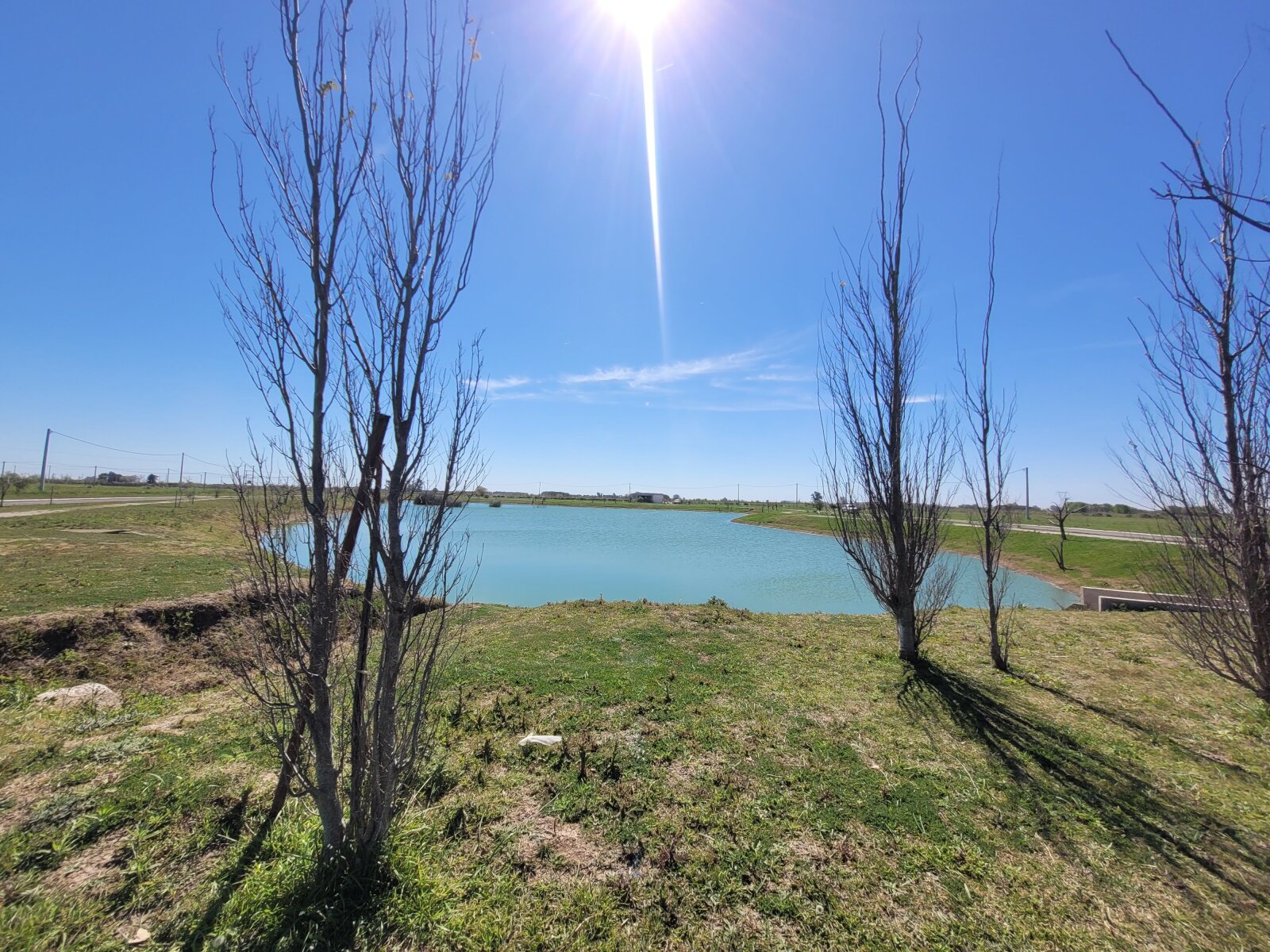 Lote en Ibarlucea — foto 12