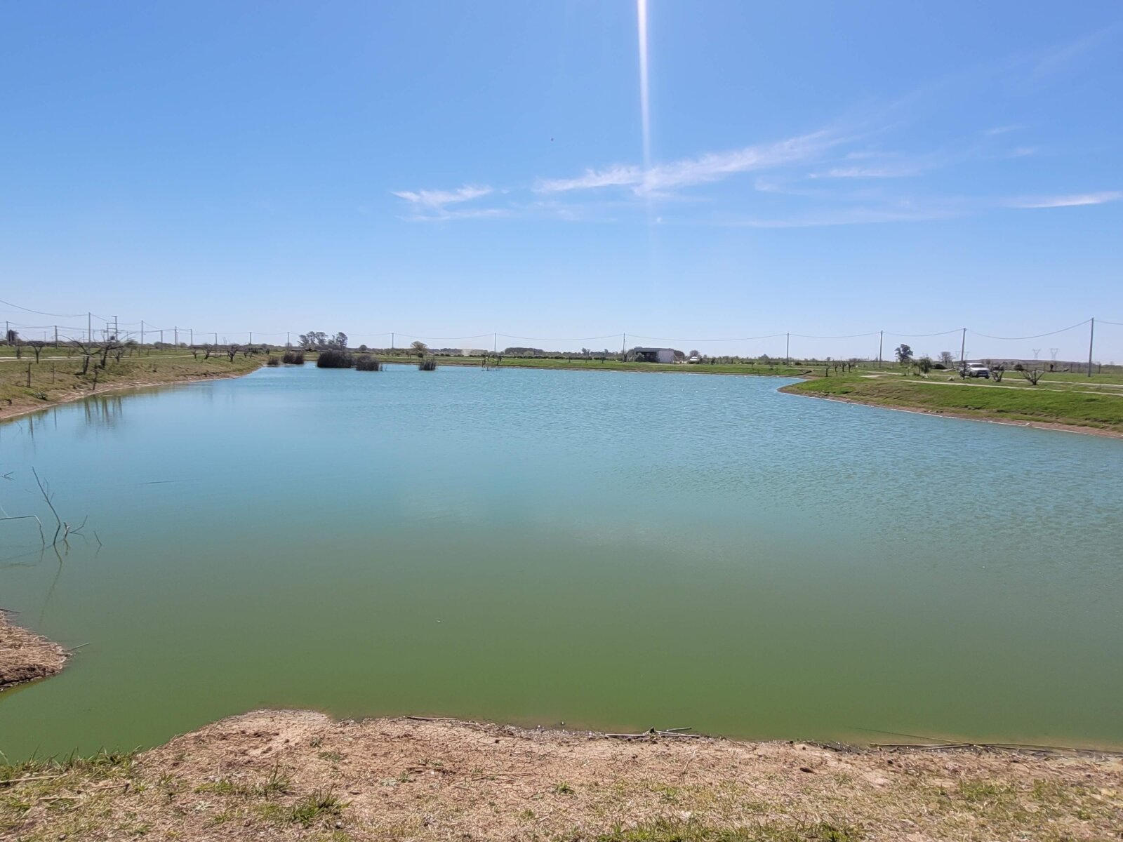 Lote en Ibarlucea — foto 13