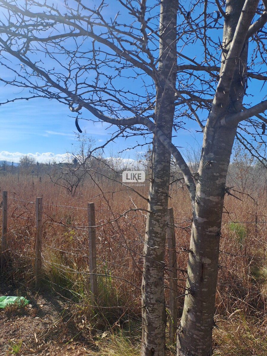 Lote en venta de Villa Quillinzo - Imagen 11