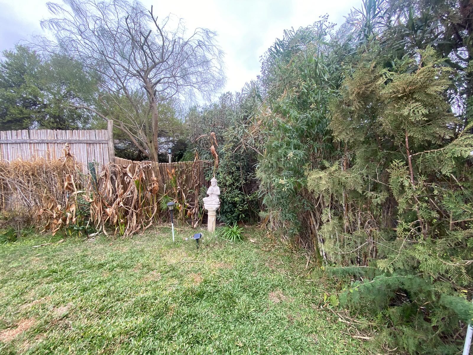 VENTA CASA 4AMB EN SAN ALFONSO ESTILO CABAÑA PILAR DEL ESTE - 19