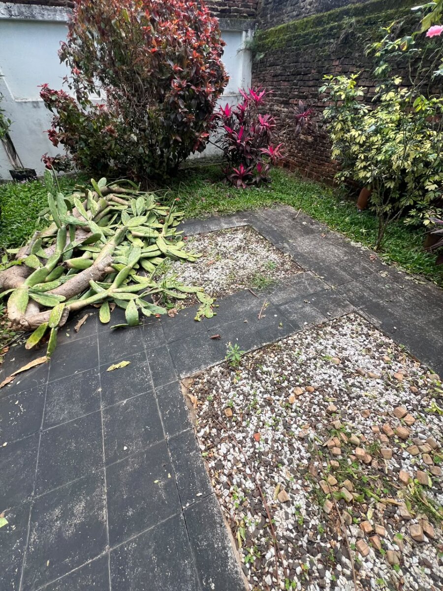 Casa + Departamento en Venta en Posadas Misiones Próximo a la Costanera - 40