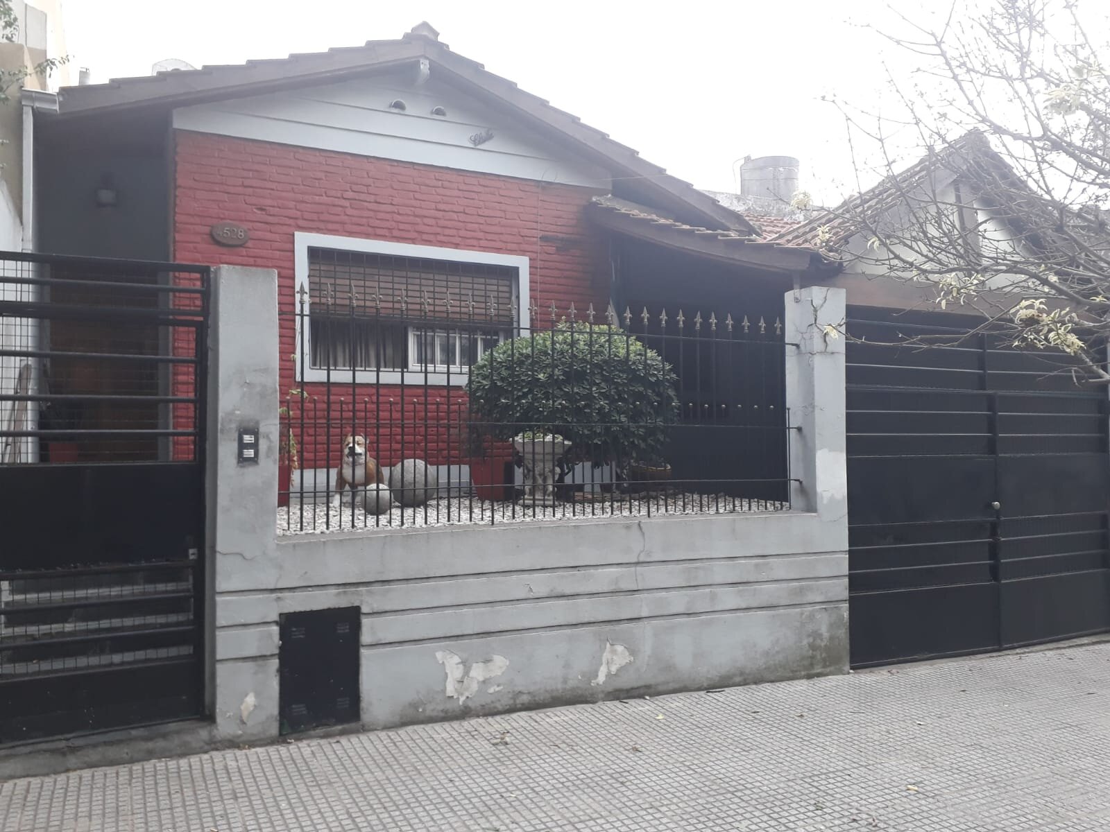 Casa en lote propio Planta Baja - Piedrabuena 4500 - Villa Lugano — foto 10